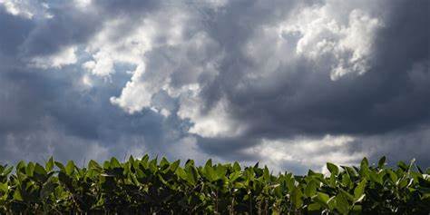 Chove no Nordeste, seca no Sul: como o La Niña vai impactar o Brasil em 2025