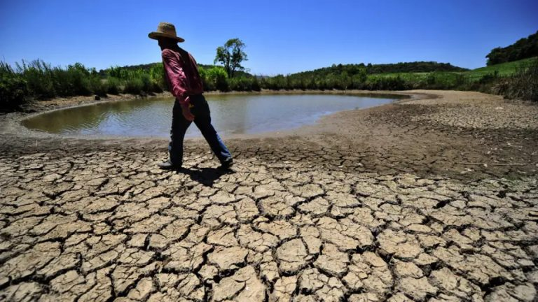 Chove no Nordeste, seca no Sul: como o La Niña vai impactar o Brasil em 2025