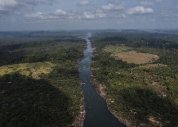 Negócio bilionário de carbono no Pará foi tão mal feito que o MPF quer suspender tudo