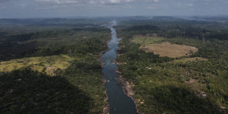Negócio bilionário de carbono no Pará foi tão mal feito que o MPF quer suspender tudo