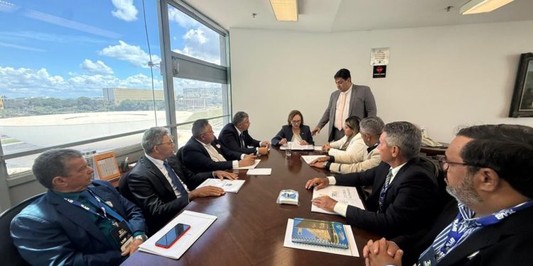 Movimento de vereadores reafirma força de Zenaide no processo eleitoral