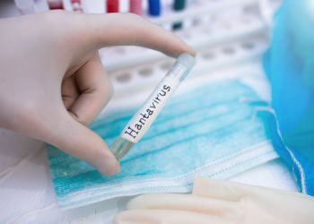Férias de luxo viram pesadelo: cepa rara infecta humanos em cruzeiro da Antártida